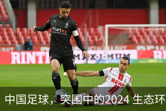 中国足球，突围中的2024 生态环境将实现好转