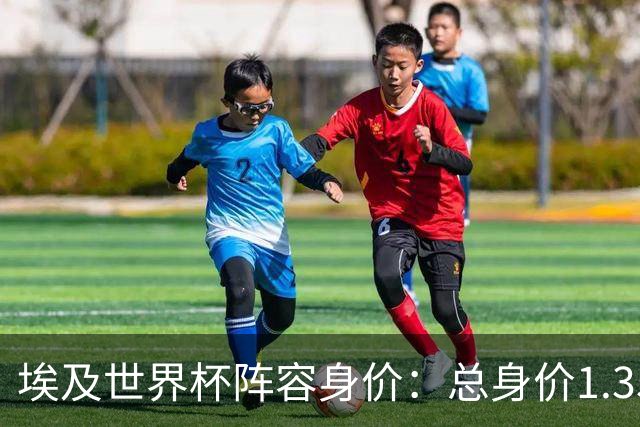 埃及世界杯阵容身价：总身价1.35亿欧，马尔穆什6000万欧最高