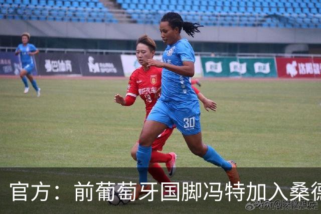 官方：前葡萄牙国脚冯特加入桑德兰教练组