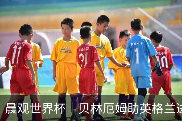 晨观世界杯｜贝林厄姆助英格兰进四强 阿根廷将战瑞士