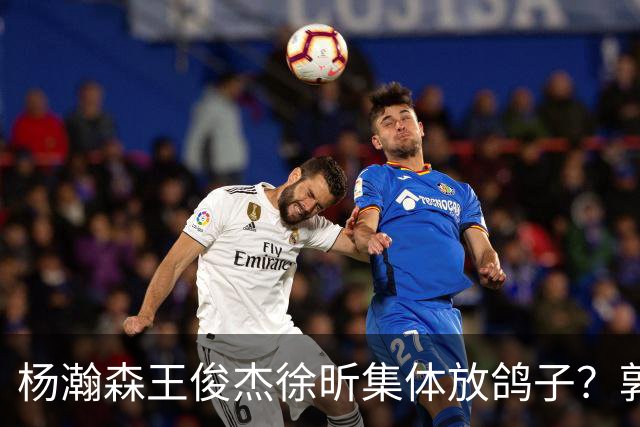 杨瀚森王俊杰徐昕集体放鸽子？郭士强8月这盘棋，怕是要靠周琦赵睿张镇麟来救了