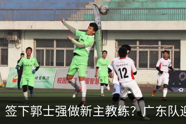签下郭士强做新主教练？广东队迎来换帅机会，杜锋有望执教国家队
