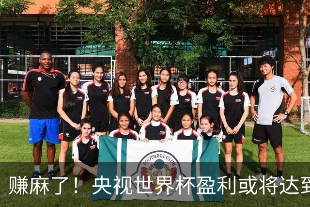 赚麻了！央视世界杯盈利或将达到50-60亿元人民币