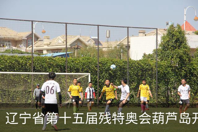 辽宁省第十五届残特奥会葫芦岛开赛 356名健儿参与角逐