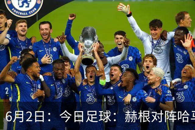 6月2日：今日足球：赫根对阵哈马比代格福什对阵布鲁马波卡纳